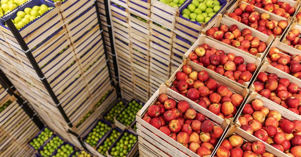 Ortofrutta troppa offerta in Europa e costi elevati margini a rischio Il Sole 24 ORE